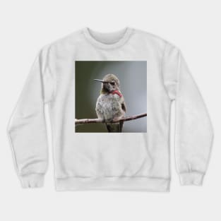 Hummingbird upclose Crewneck Sweatshirt